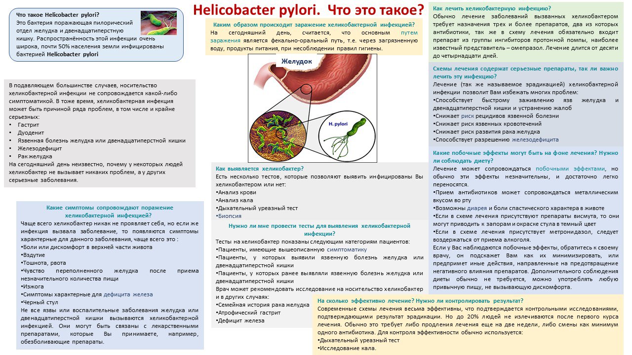 an overview of helicobacter pylori Helicobacter pylori infection - etiology, pathophysiology, symptoms, signs, diagnosis & prognosis from the msd manuals - medical professional version. an overview of helicobacter pylori Helicobacter pylori infection - etiology, pathophysiology, symptoms, signs, diagnosis & prognosis from the msd manuals - medical professional version.